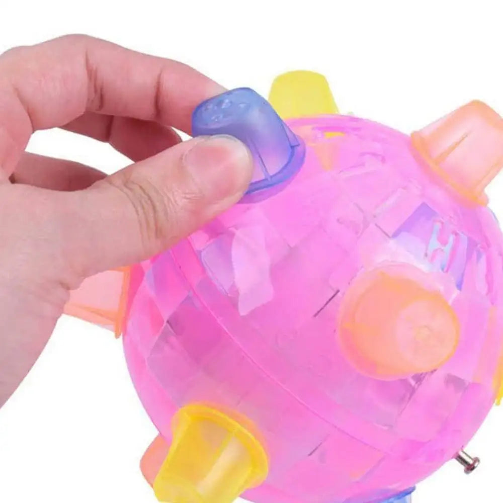 Flashing LED Dog Ball Toy