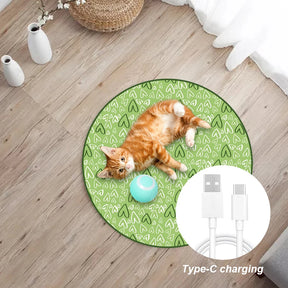 Interactive 2-in-1 Cat Toy