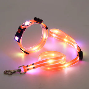 LED Light-Up Dog Collar Leash