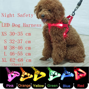 USB Rechargeable LED Dog Harness