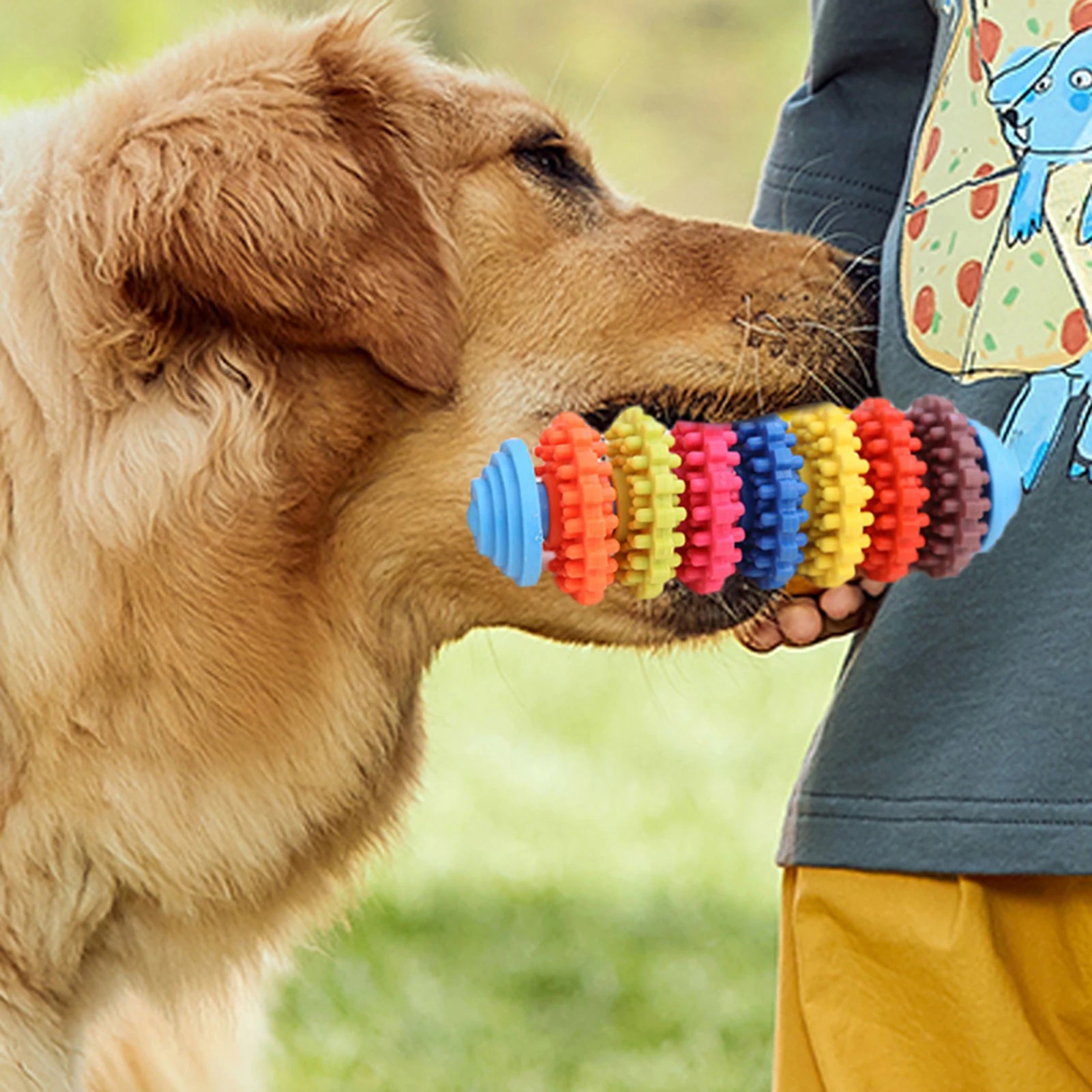 Colorful Dog Teething Chew Toys