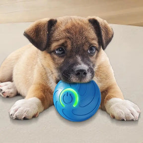 Smart Interactive Dog Toy Ball