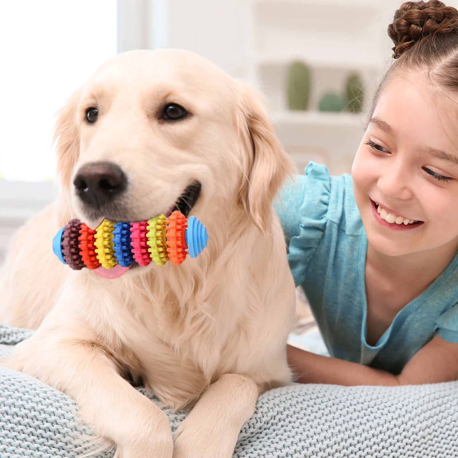 Colorful Dog Teething Chew Toys