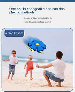 Flying Disc Interactive Dog Toy