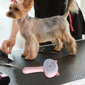 Steam Cat Brush 3 In 1 Pet Steamer Massage Brush Self-Cleaning Wet Cat Comb Water Tank Suitable For Dogs Cats Reduce Flying Hair