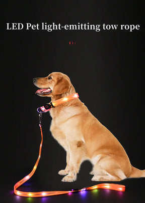 LED Light-Up Dog Collar Leash