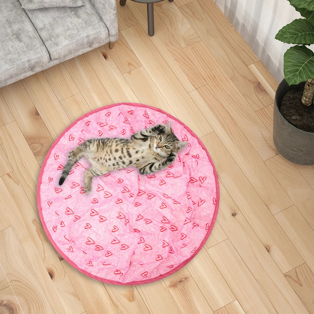 Interactive 2-in-1 Cat Toy