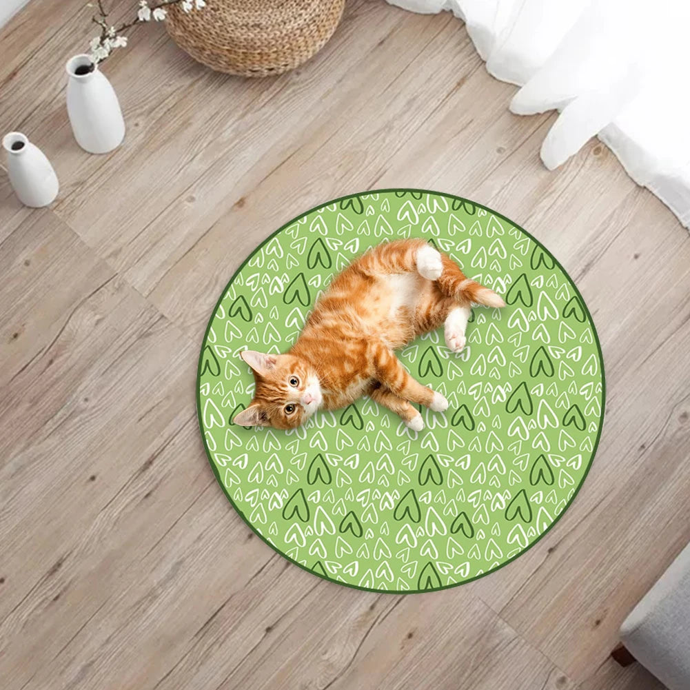 Interactive 2-in-1 Cat Toy