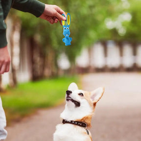 Dog Chew Latex Squeaky Toy