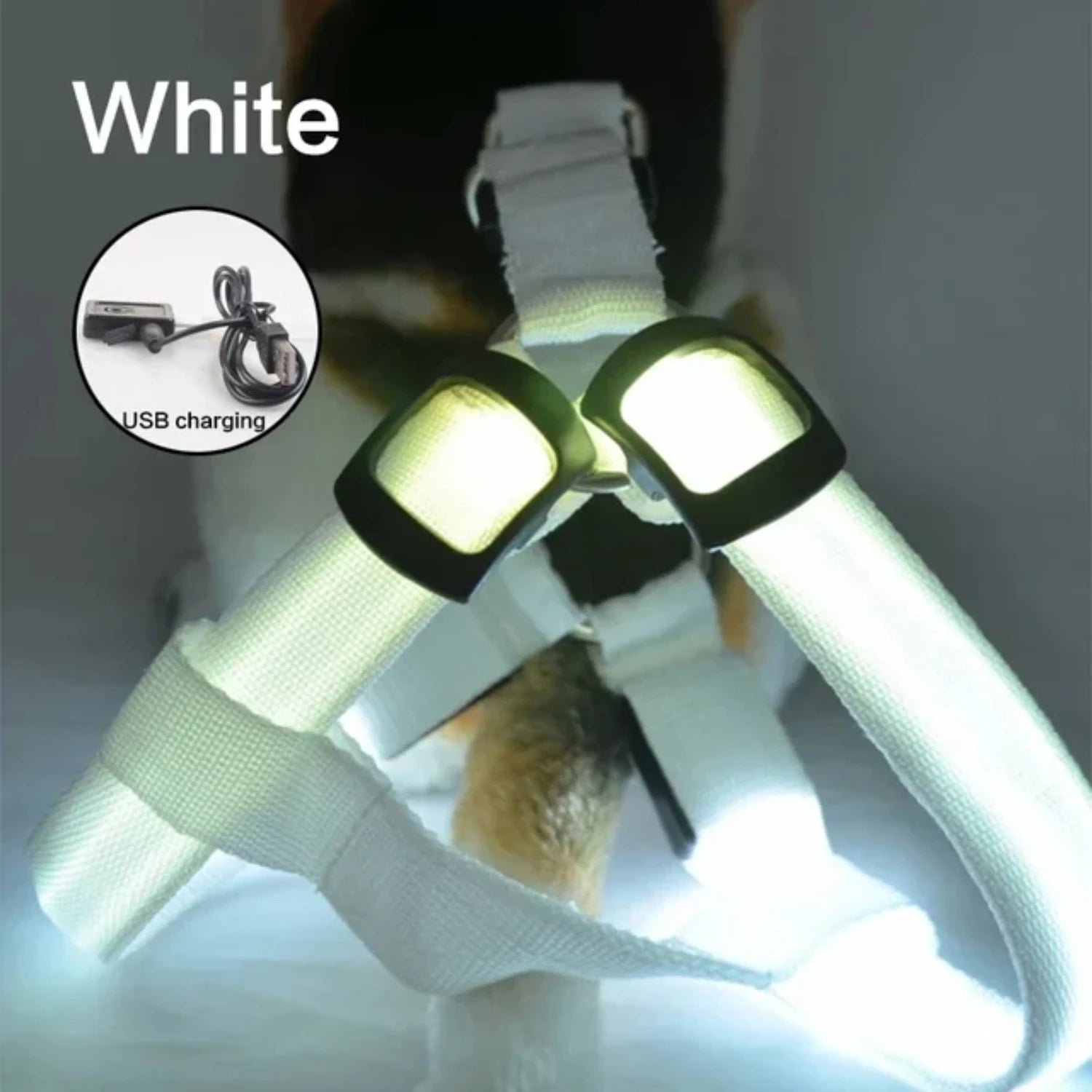 USB Rechargeable LED Dog Harness