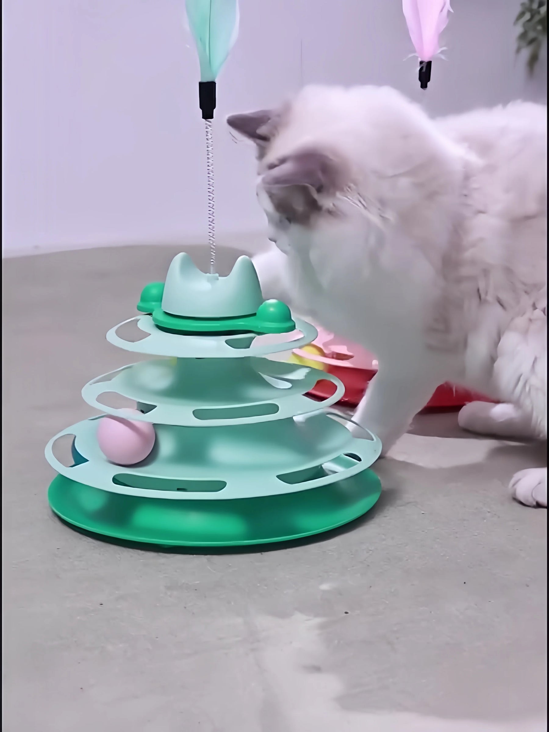 Four-Layer Cat Track Toy