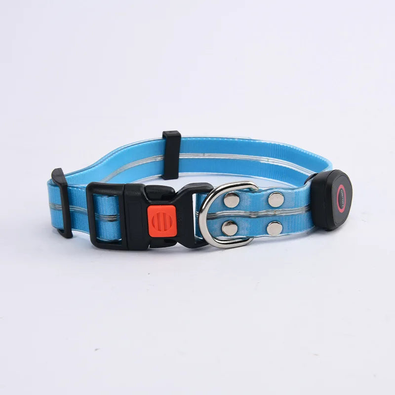 LED Light-Up Dog Collar Leash