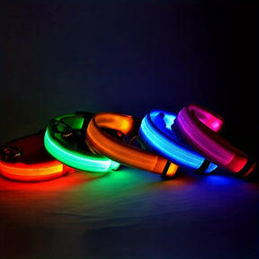 Reflective LED Dog Collar