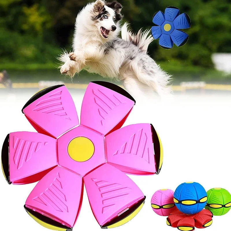 Flying Disc Interactive Dog Toy