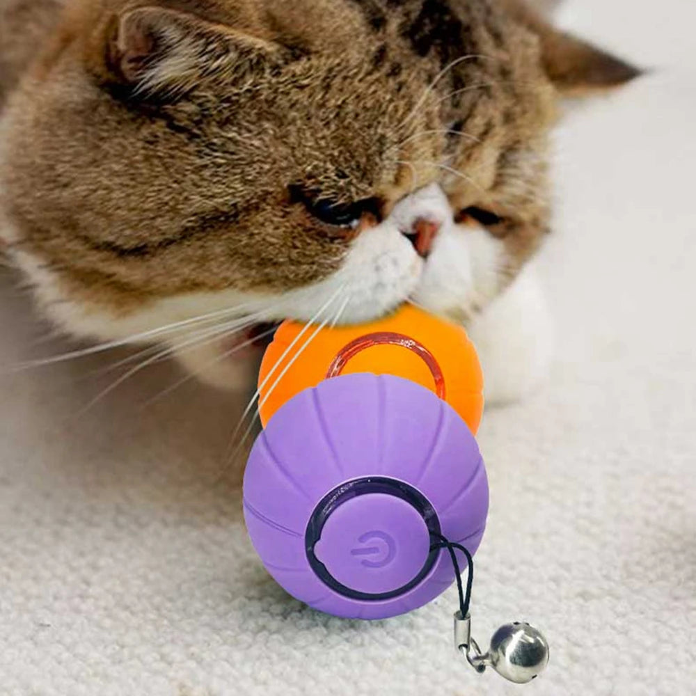 Glowing Automatic Rolling Cat Toy