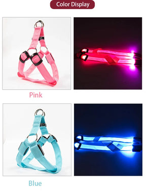 USB Rechargeable LED Dog Harness