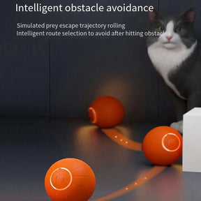 Glowing Automatic Rolling Cat Toy