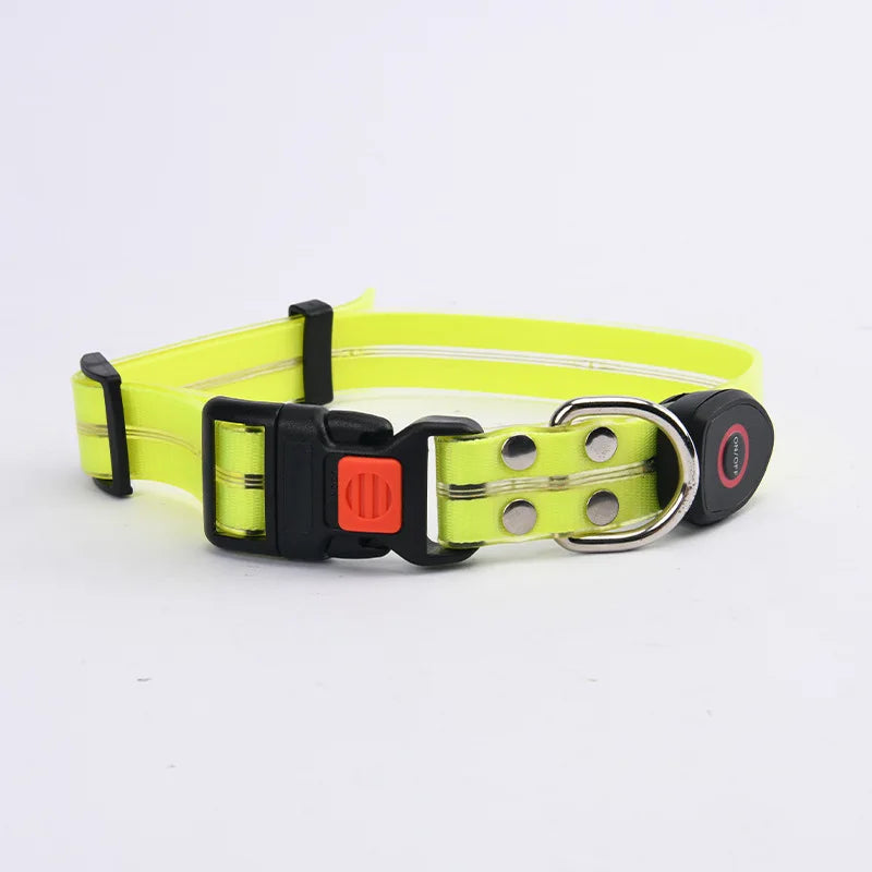 LED Light-Up Dog Collar Leash