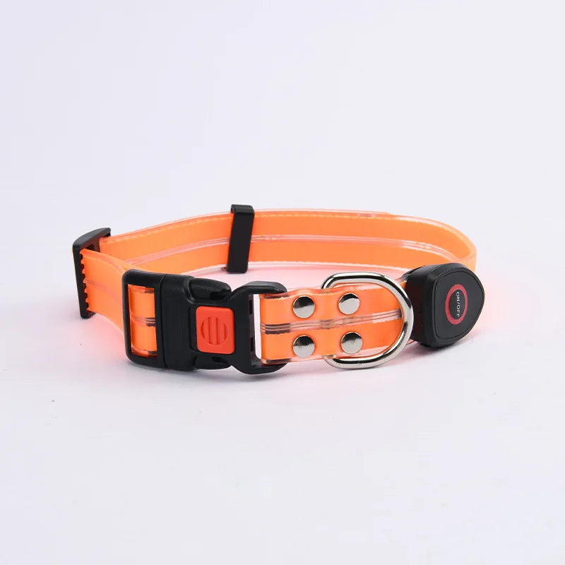 LED Light-Up Dog Collar Leash