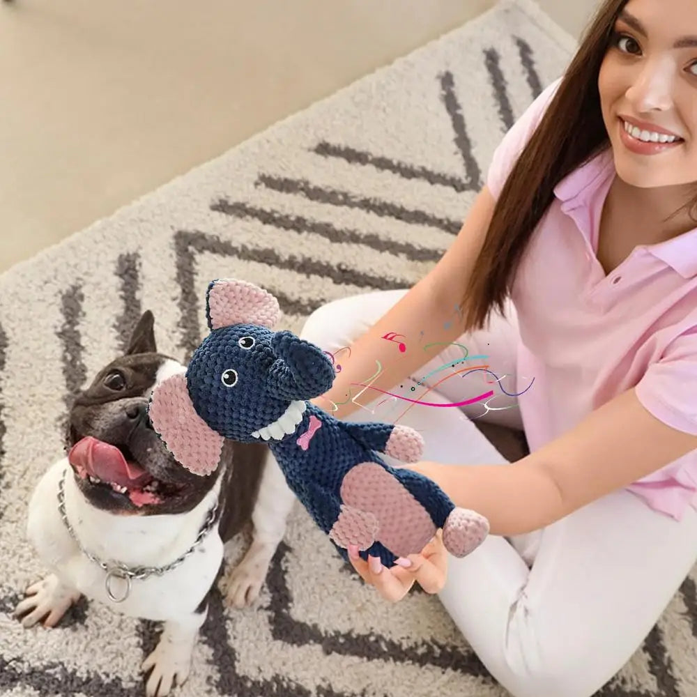 Plush Squeaky Dog Chew Toy