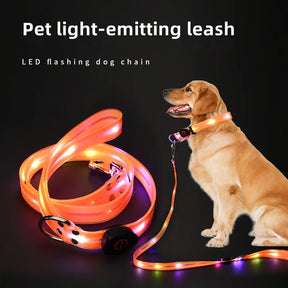 LED Light-Up Dog Collar Leash