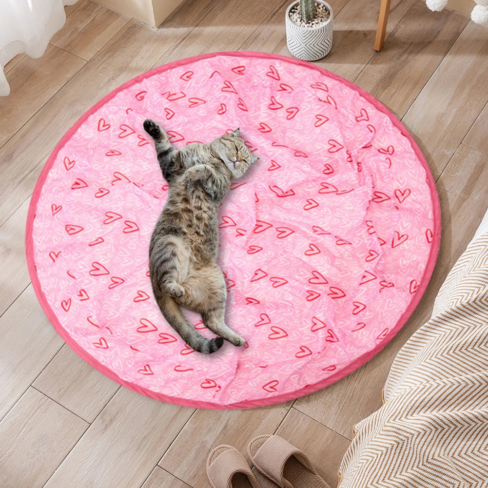 Interactive 2-in-1 Cat Toy