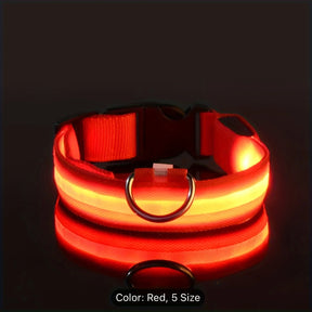 Reflective LED Dog Collar