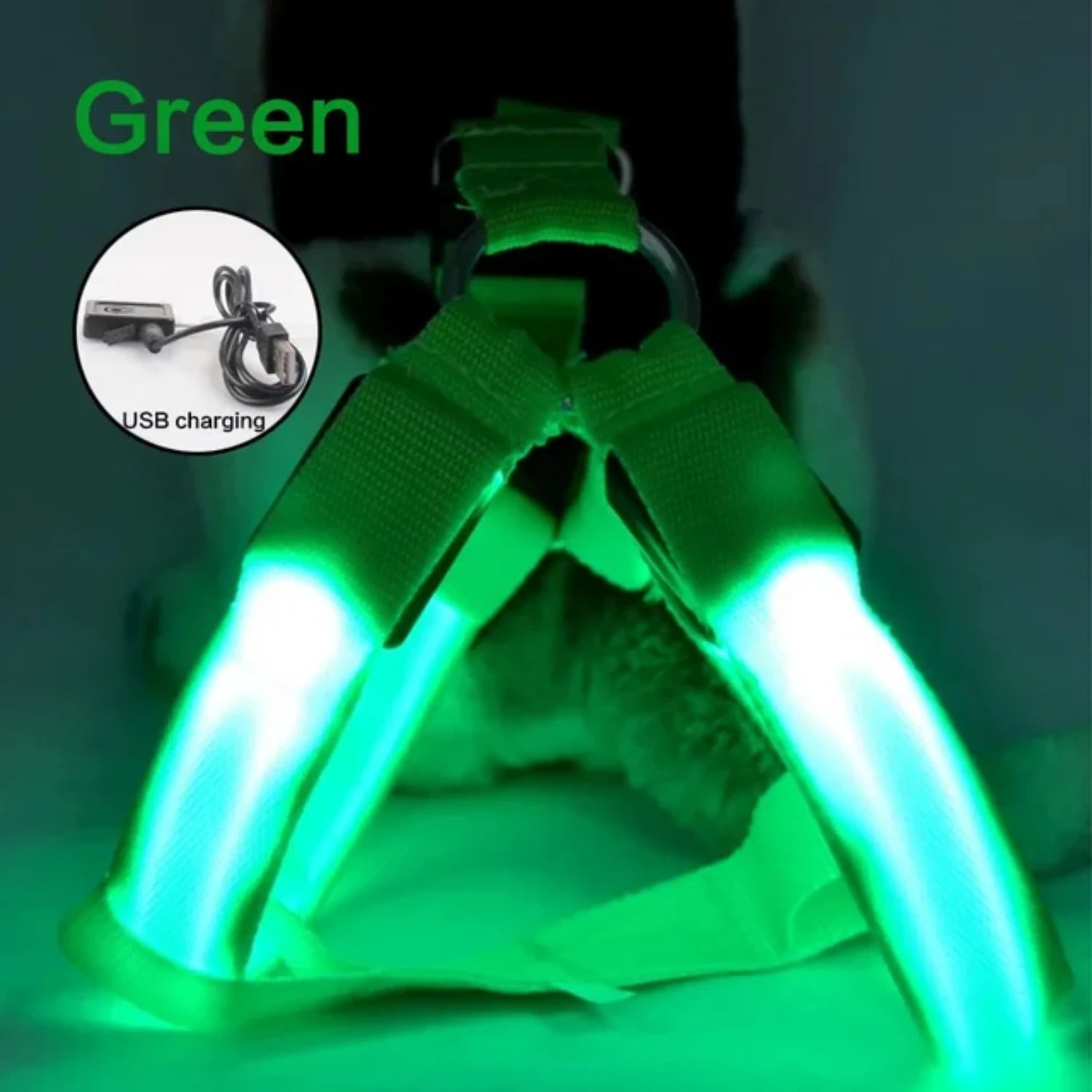 USB Rechargeable LED Dog Harness