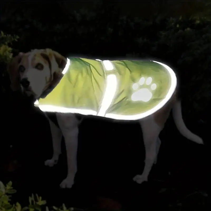 Breathable High Visibility Dog Reflective Safety Vest For Walking Running To Keep Dogs Visible Safe From Cars and Motorcycle