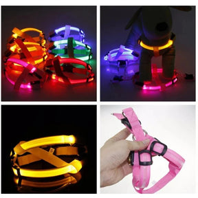 USB Rechargeable LED Dog Harness