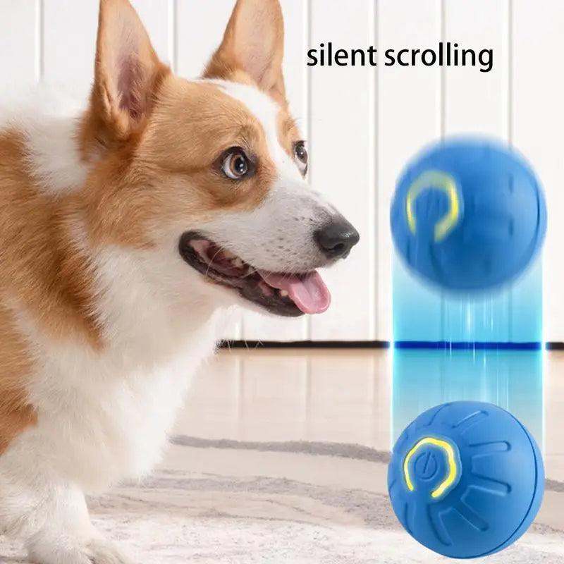 Smart Self-Rolling Dog Ball