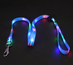 LED Light-Up Dog Collar Leash