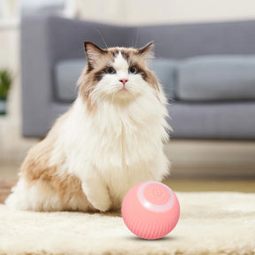 Interactive 2-in-1 Cat Toy