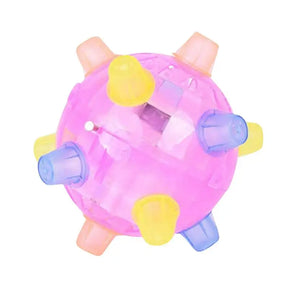 Flashing LED Dog Ball Toy