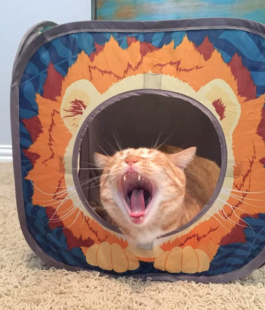 Jungle Cat Cube Combo: Collapsible Cat Bed, Tunnel, and Toy