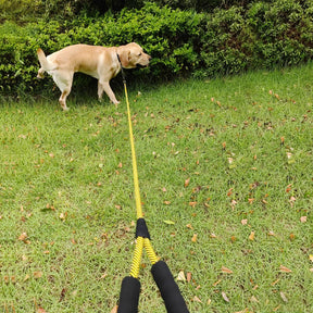 Heavy-Duty Nylon Dog Leash with Soft Padded Handle - Available in Multiple Lengths for Large, Medium, and Small Dogs