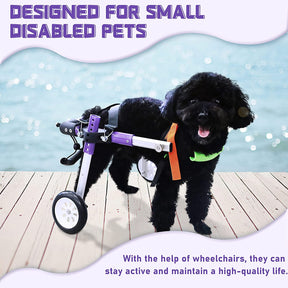 Adjustable Dog Wheelchair for Rear Leg Support - Pet Mobility Aid for Dogs with Hind Leg Disabilities (XS-A)