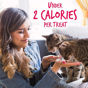 Cat Treats – Crunchy Treats for Cats – Healthy Low Calorie Treats Packed with Protein – Free of Wheat, Corn and Soy – Made with Real Salmon with Cranberry – 2.5 Ounces