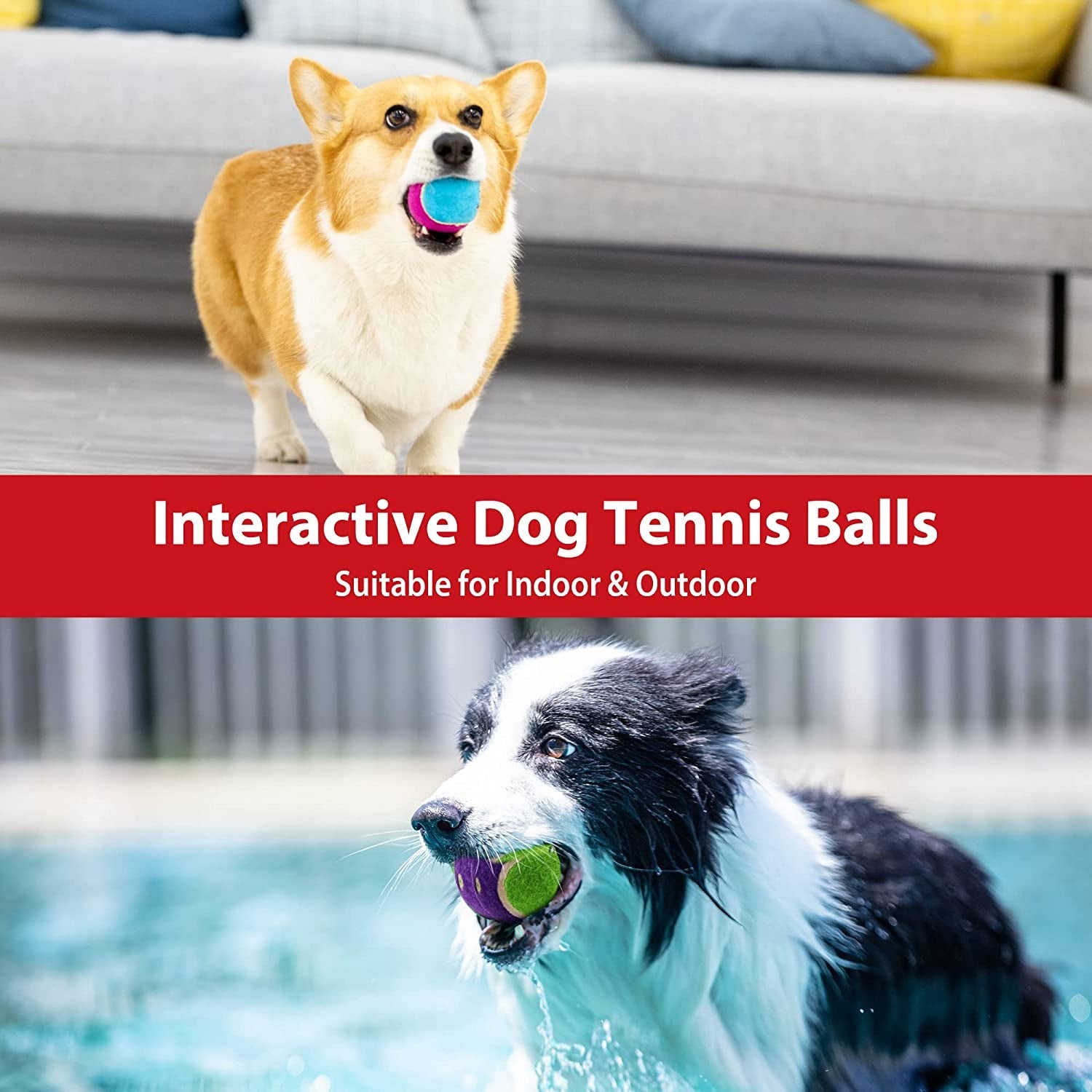 Dogs - High Bounce Interactive Toys