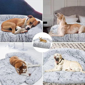 Premium Washable Plush Dog Sofa Bed